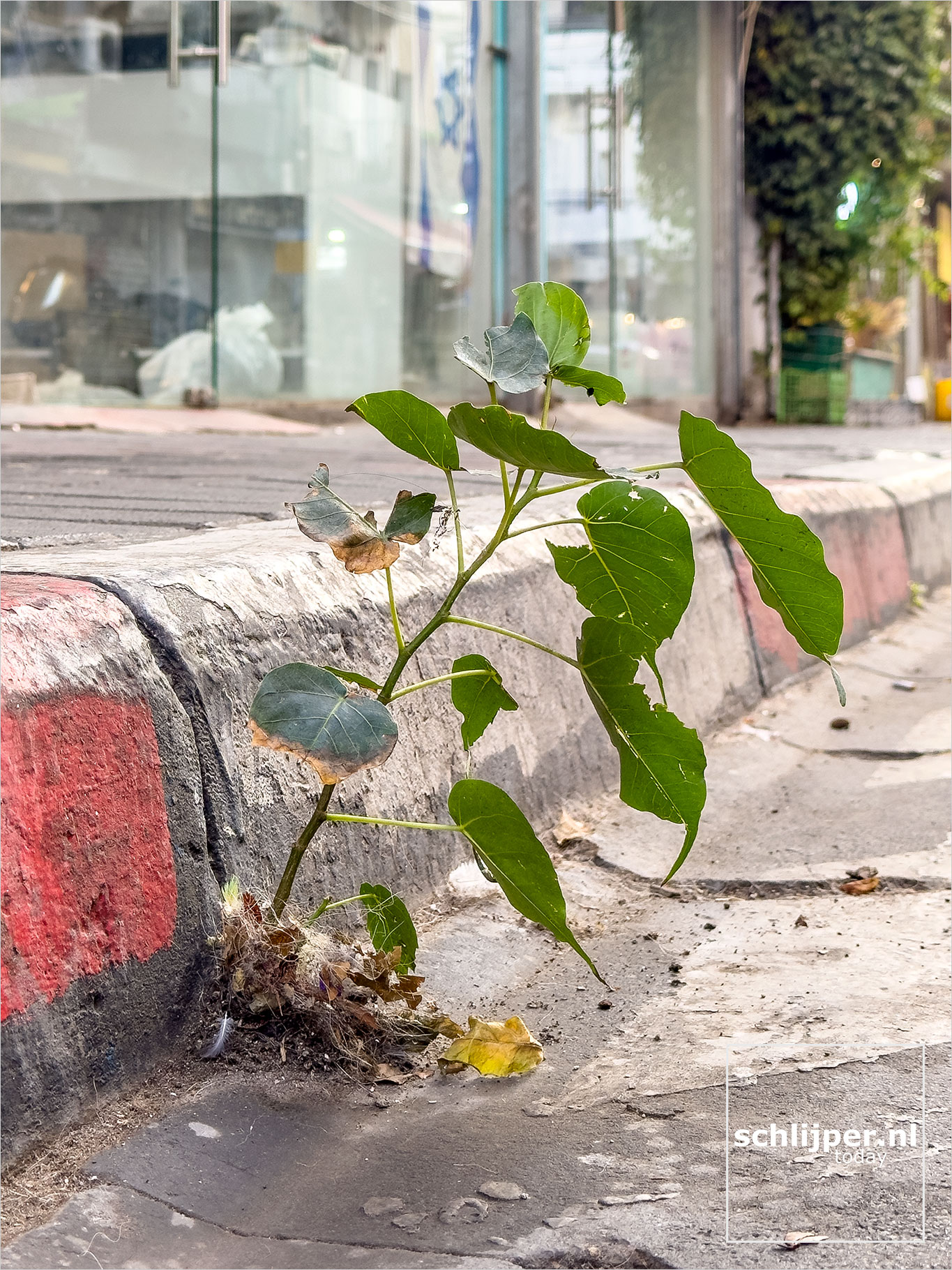 Israel, Tel Aviv, November 2, 2025