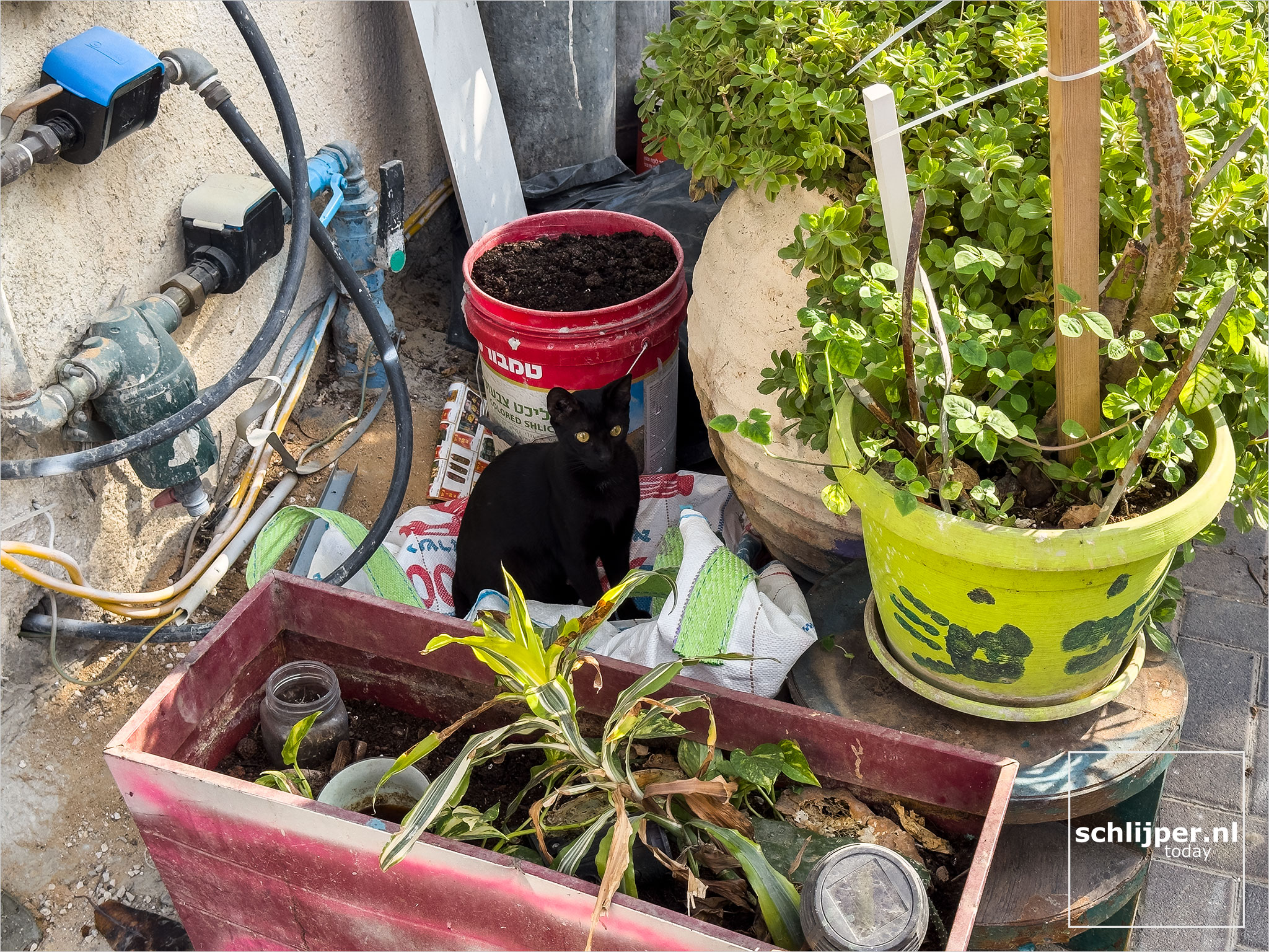 Israel, Tel Aviv, November 12, 2025