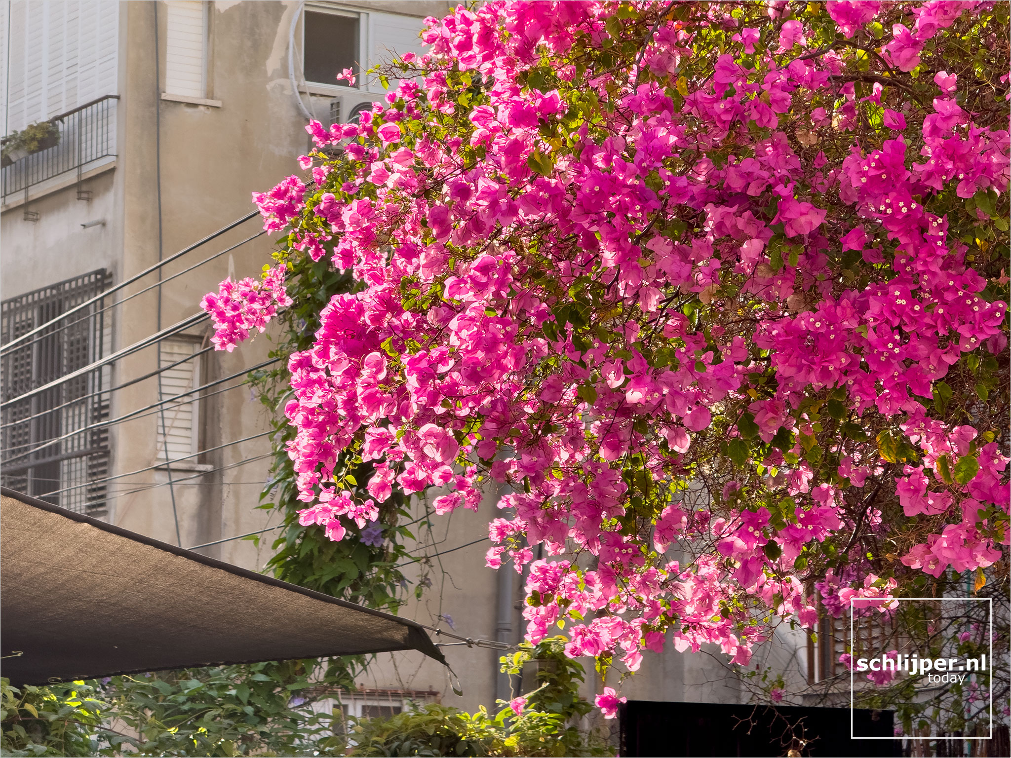 Israel, Tel Aviv, November 20, 2025