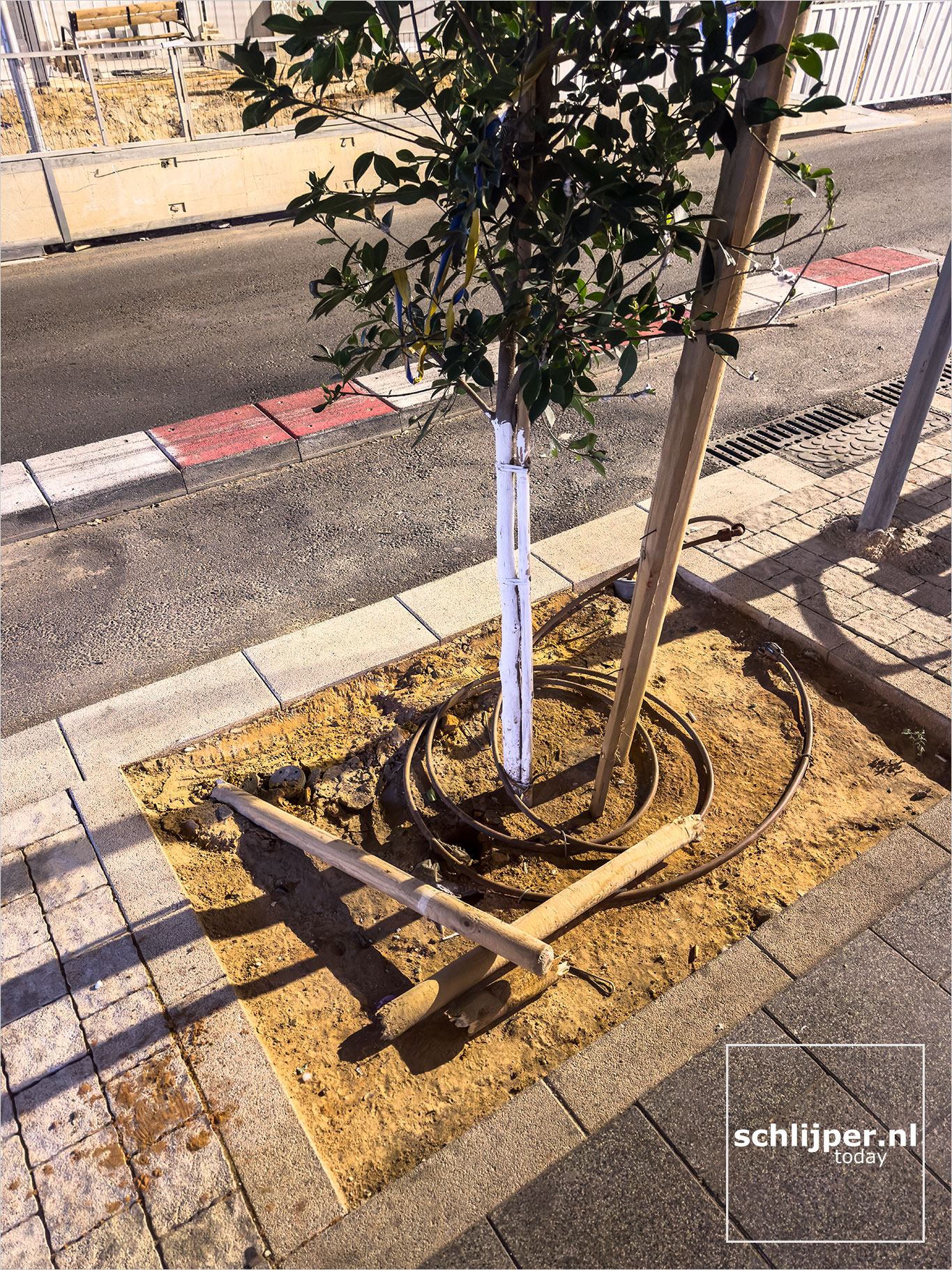 Israel, Tel Aviv, November 22, 2025