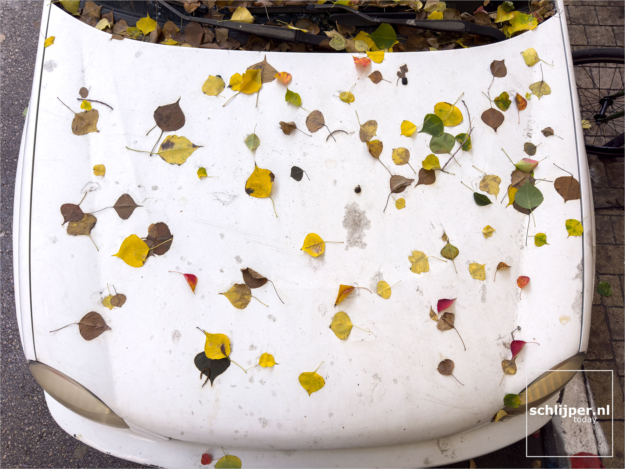 Israel, Tel Aviv, December 12, 2025