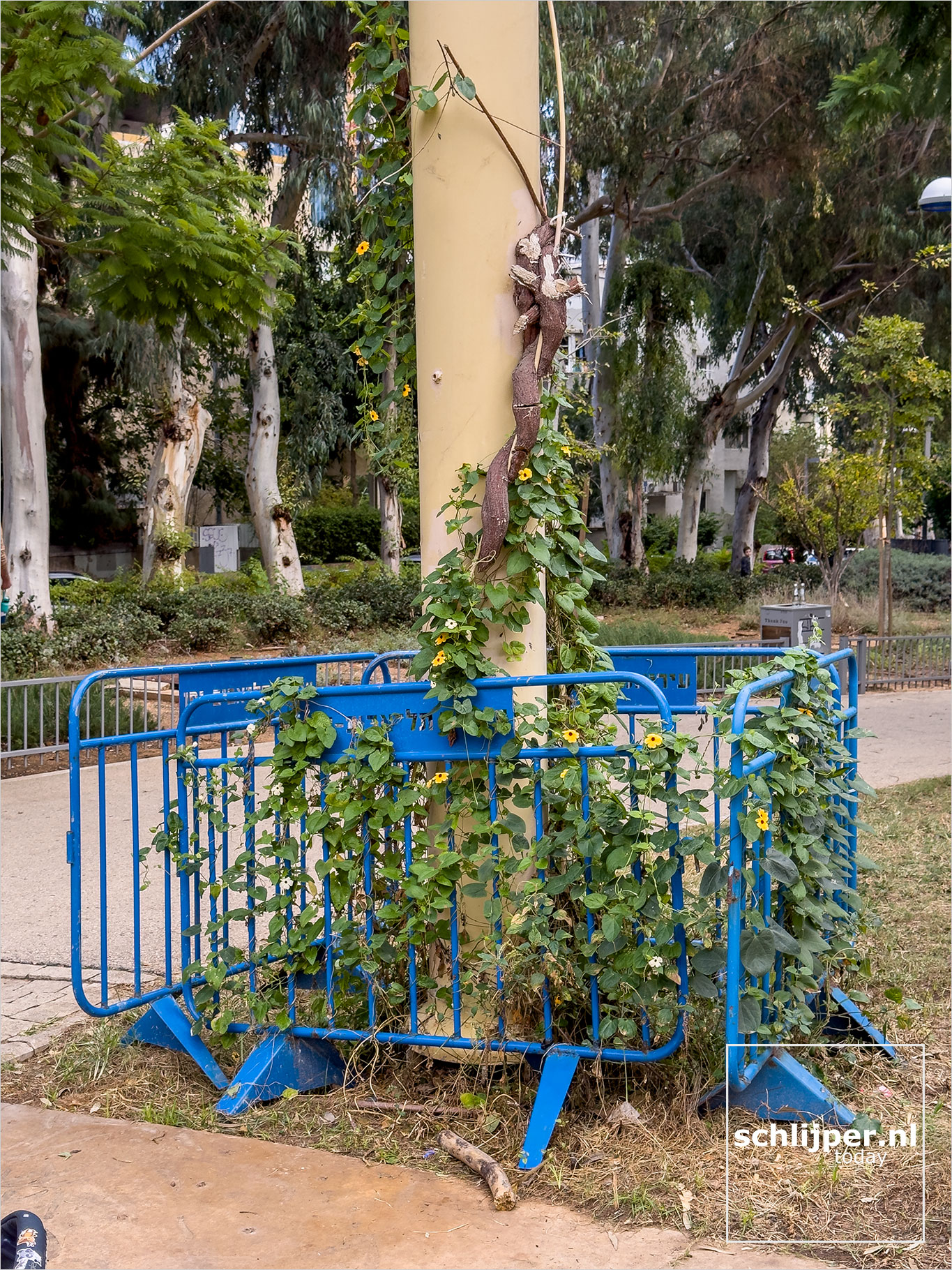 Israel, Tel Aviv, December 13, 2025