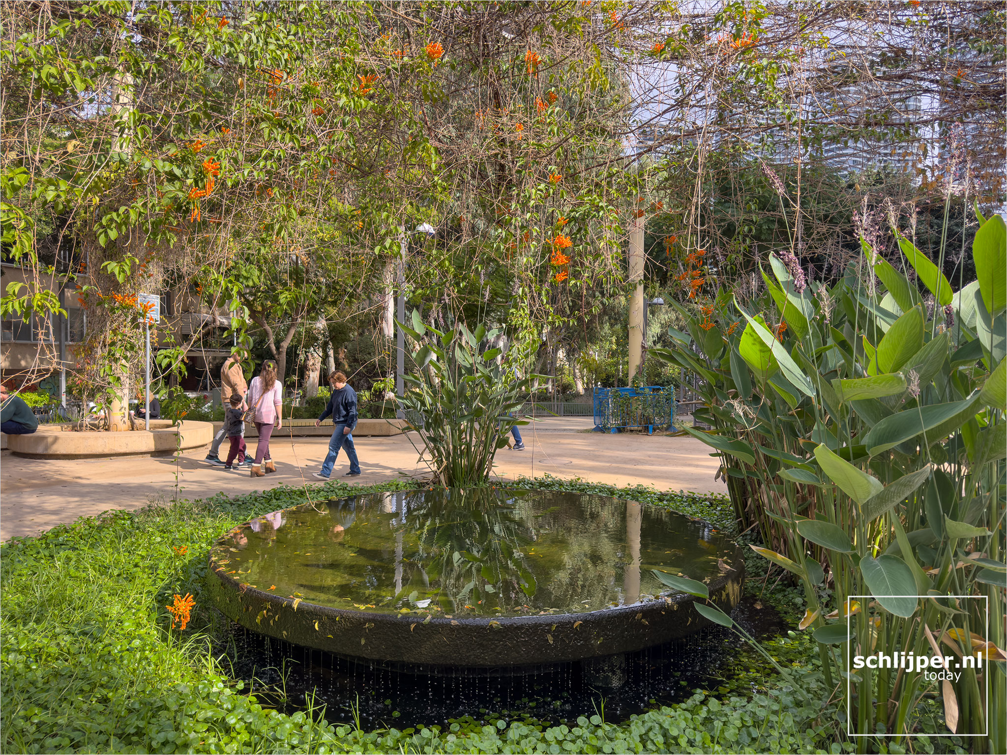 Israel, Tel Aviv, December 13, 2025