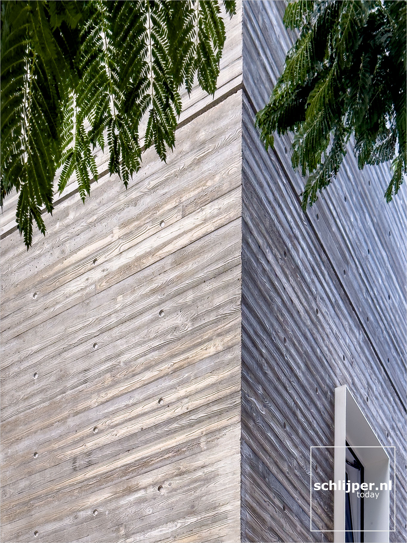 Israel, Tel Aviv, December 20, 2025