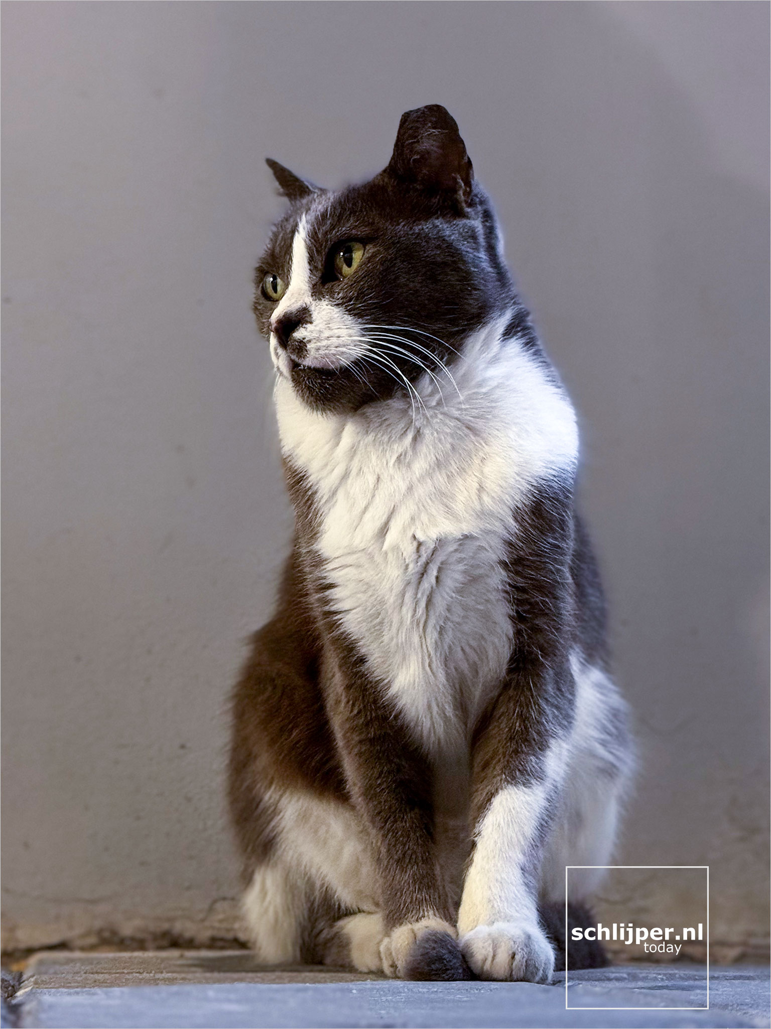 Israel, Tel Aviv, December 22, 2025