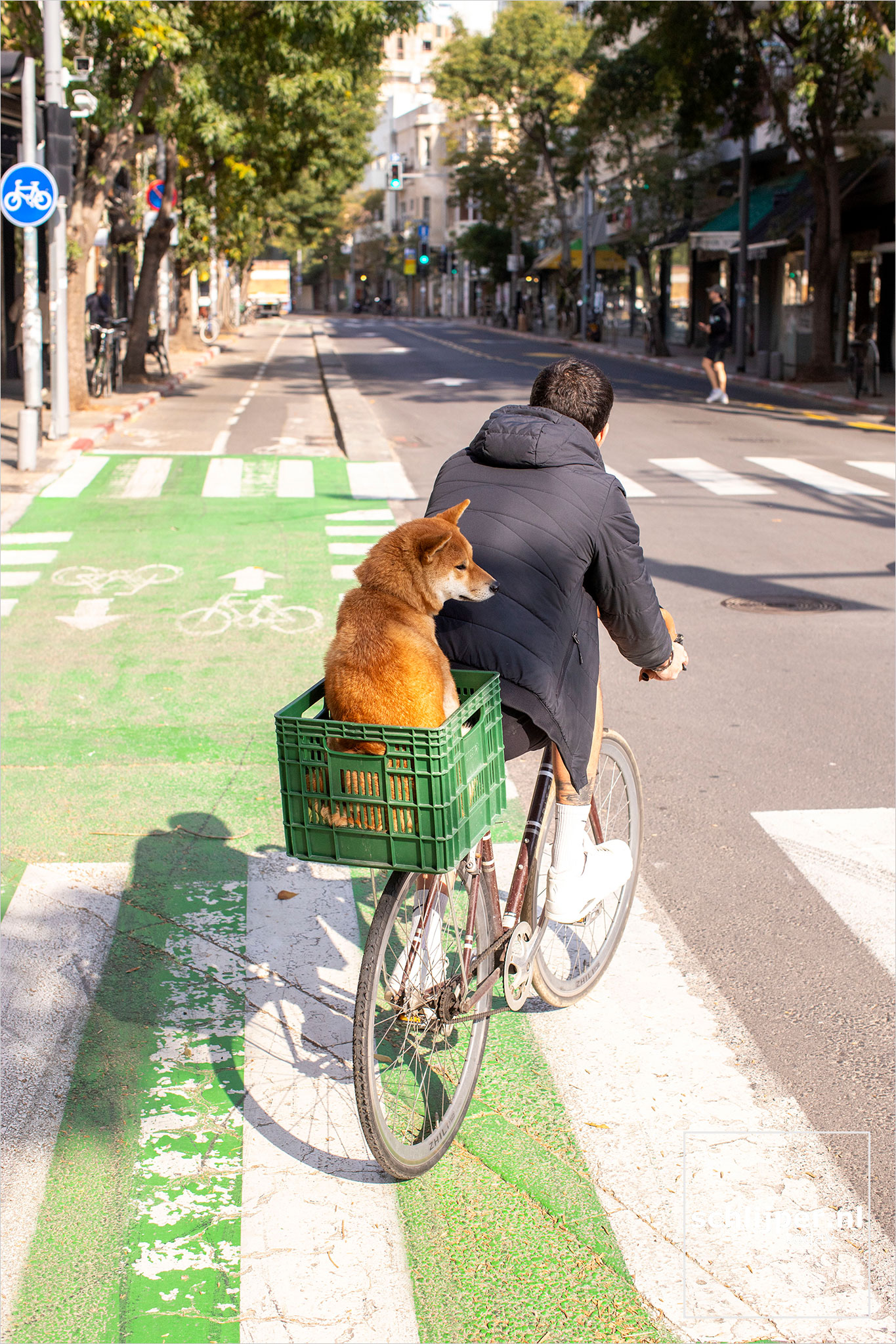 Israel, Tel Aviv, January 5, 2026