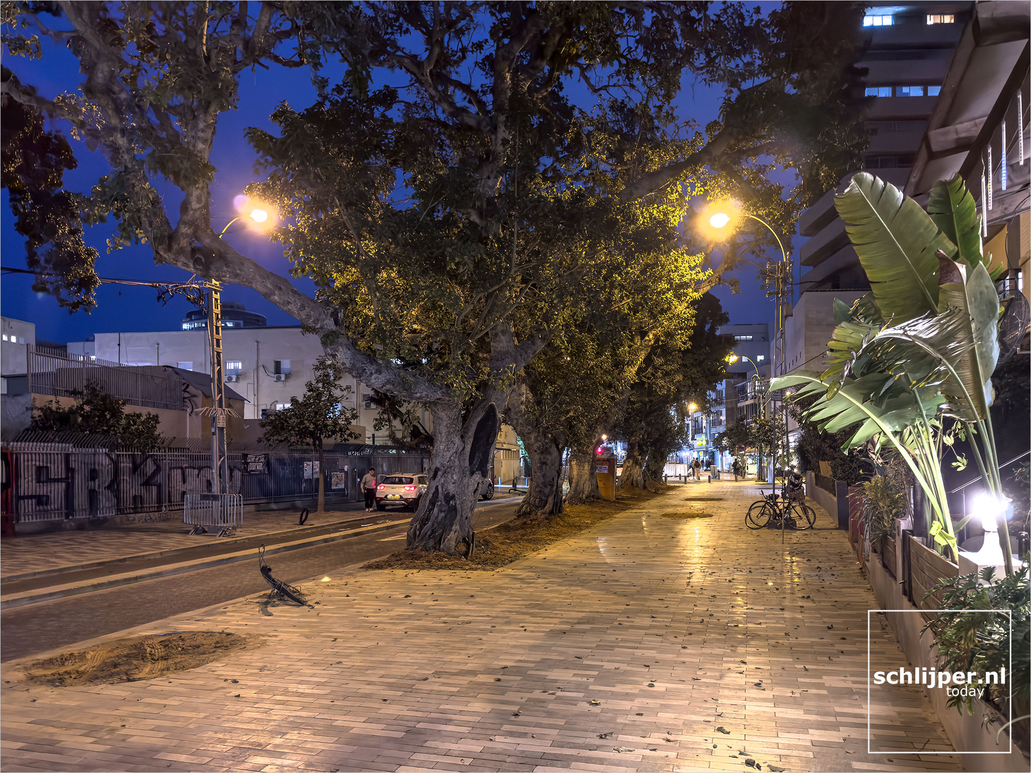 Israel, Tel Aviv, January 22, 2026