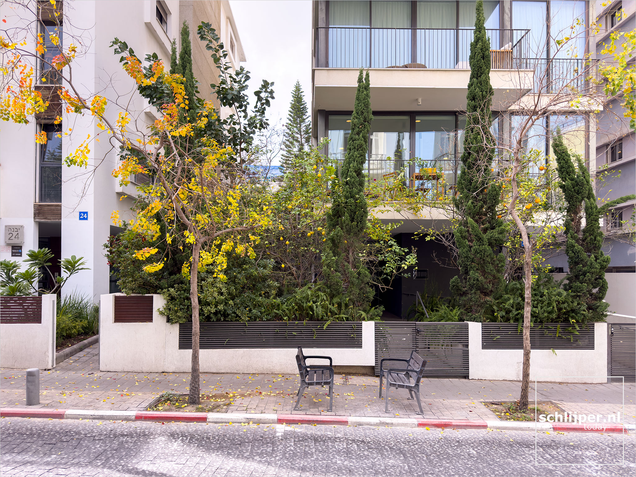 Israel, Tel Aviv, January 24, 2026