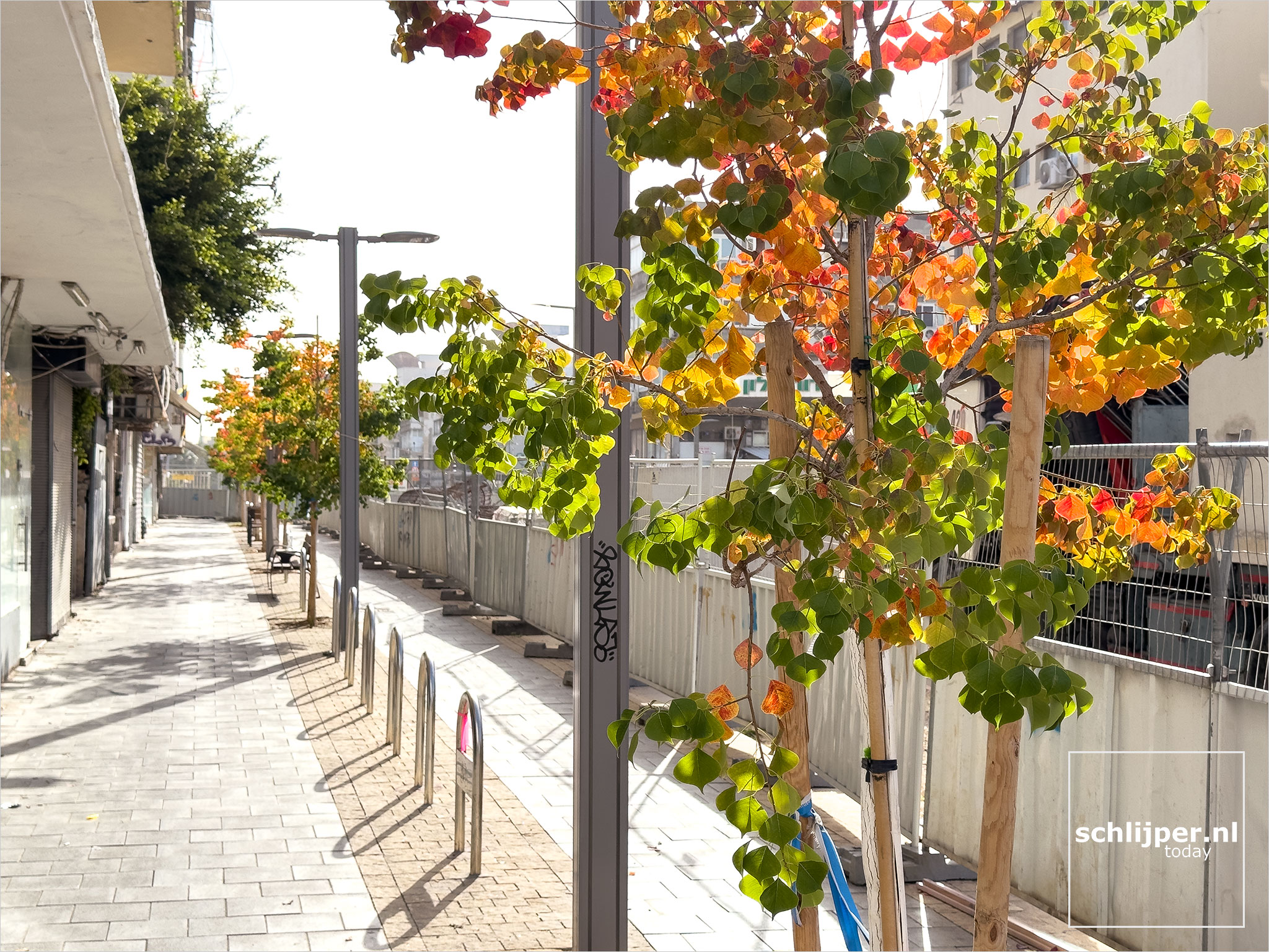 Israel, Tel Aviv, January 25, 2026