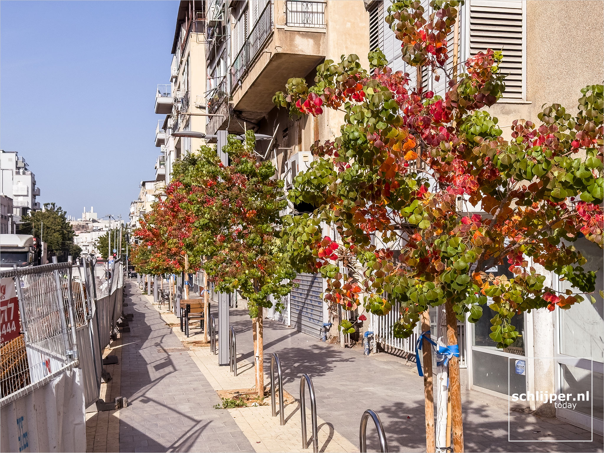 Israel, Tel Aviv, January 25, 2026