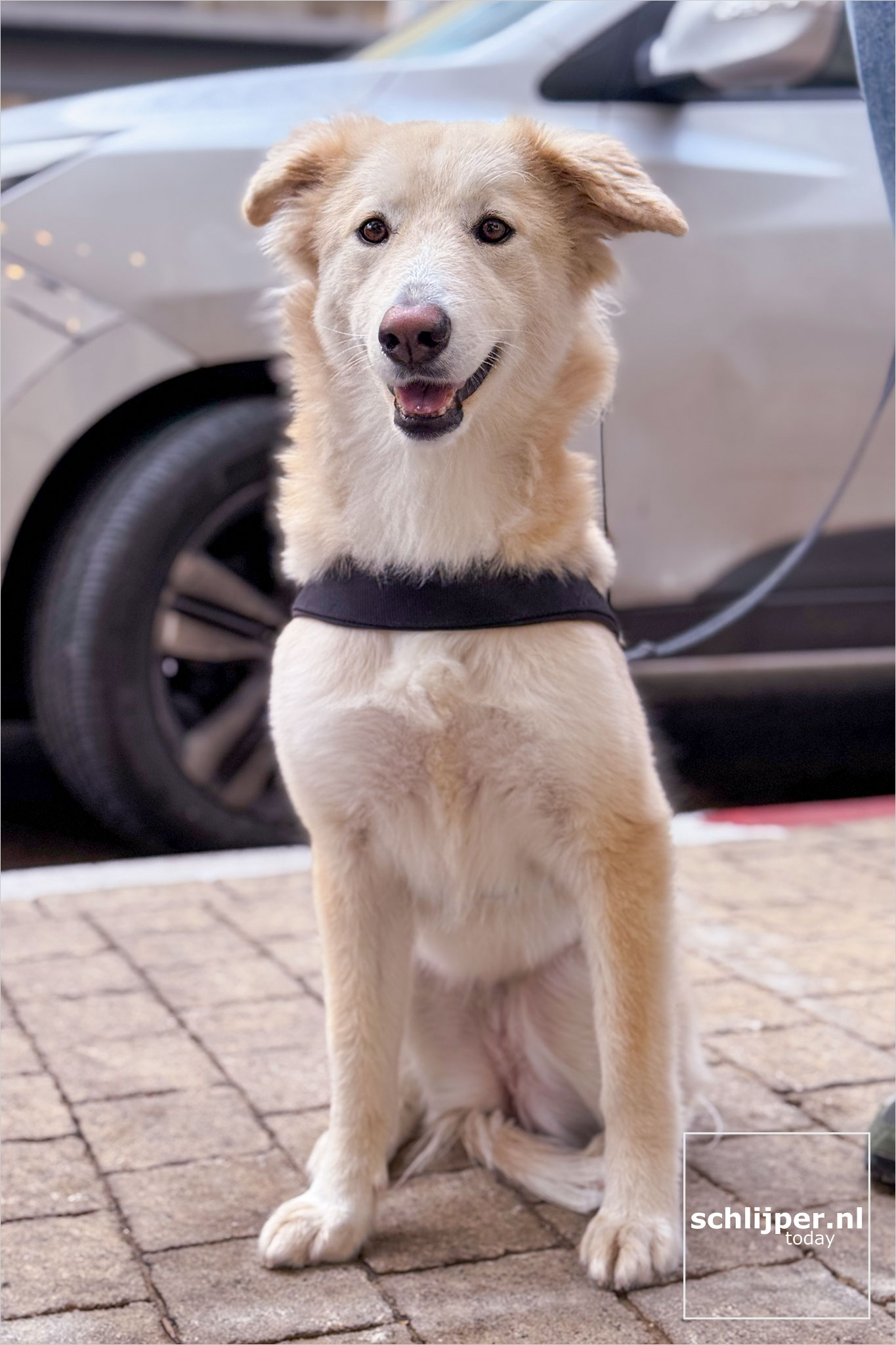 Israel, Tel Aviv, January 30, 2026