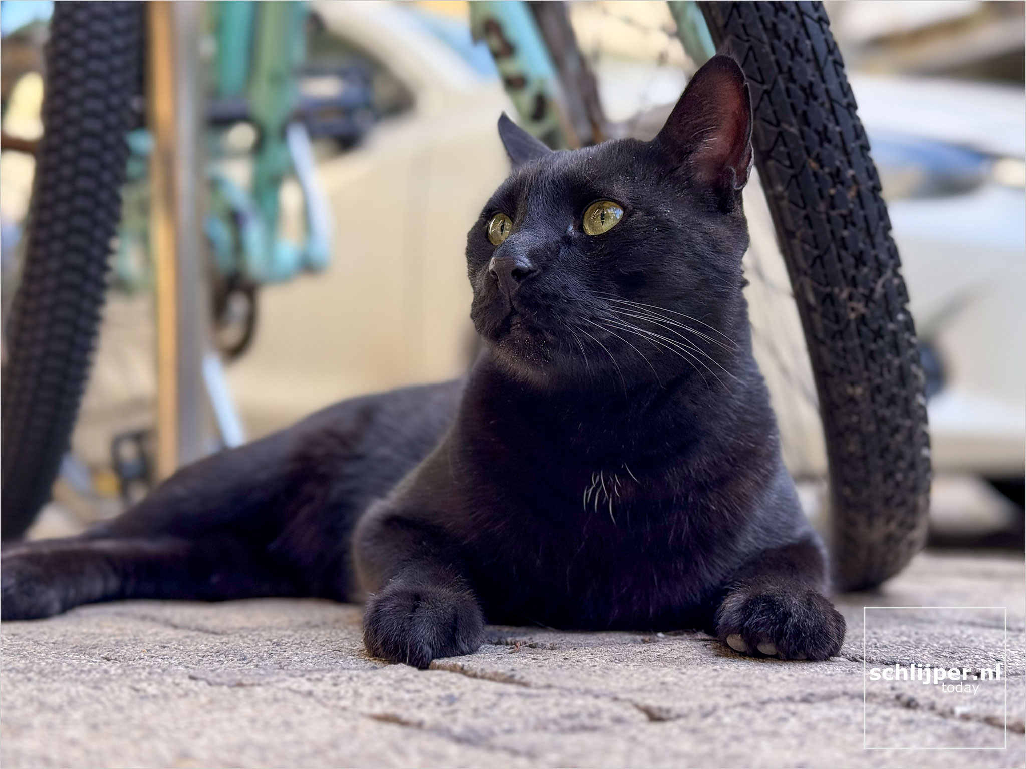 Israel, Tel Aviv, January 31, 2026