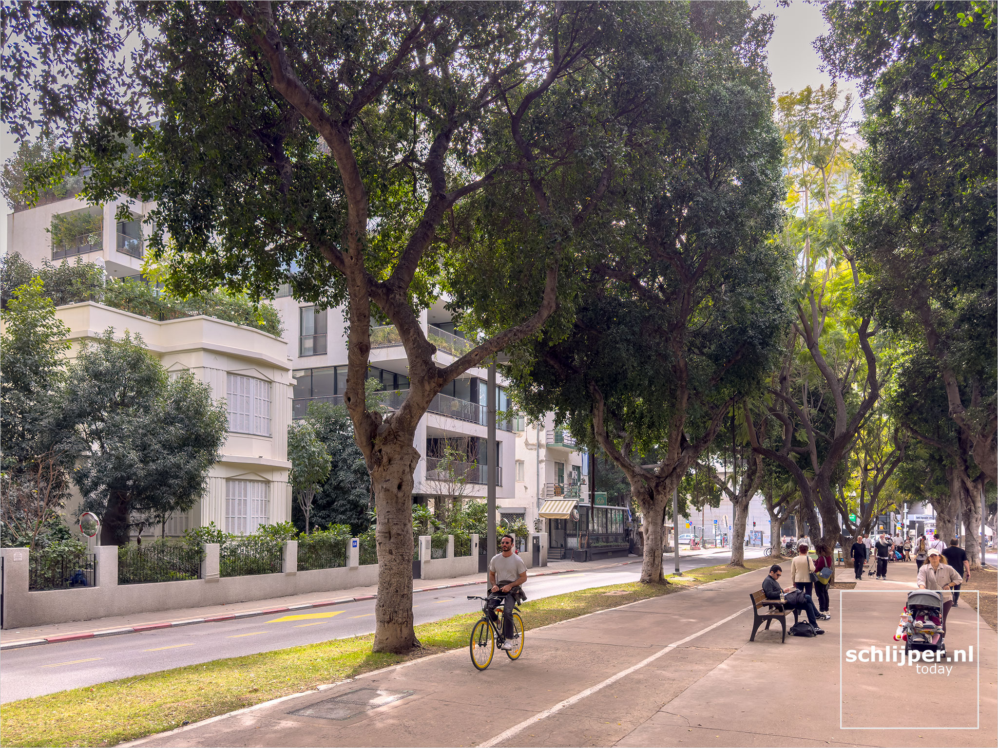 Israel, Tel Aviv, February 7, 2026