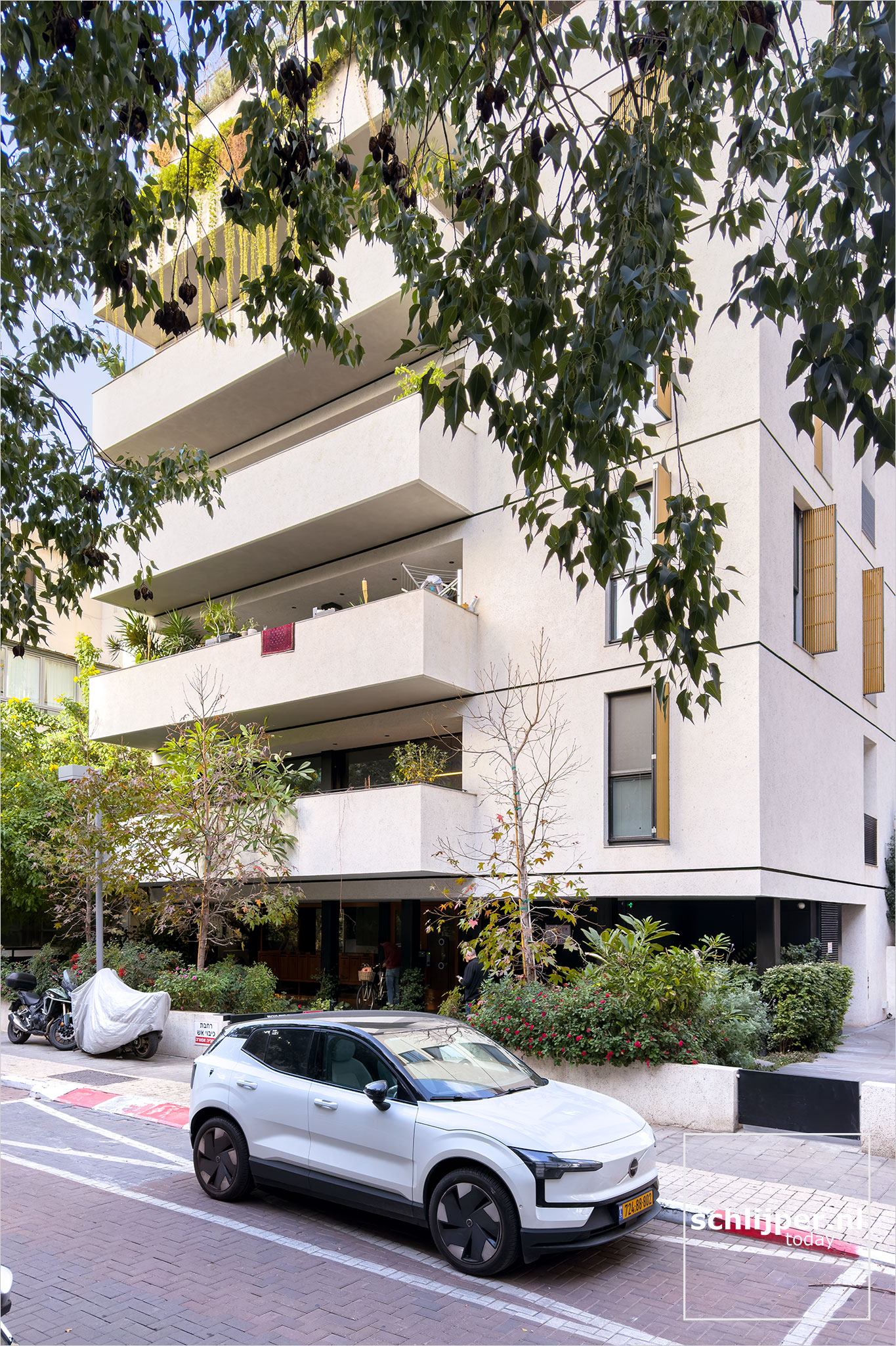 Israel, Tel Aviv, February 11, 2026