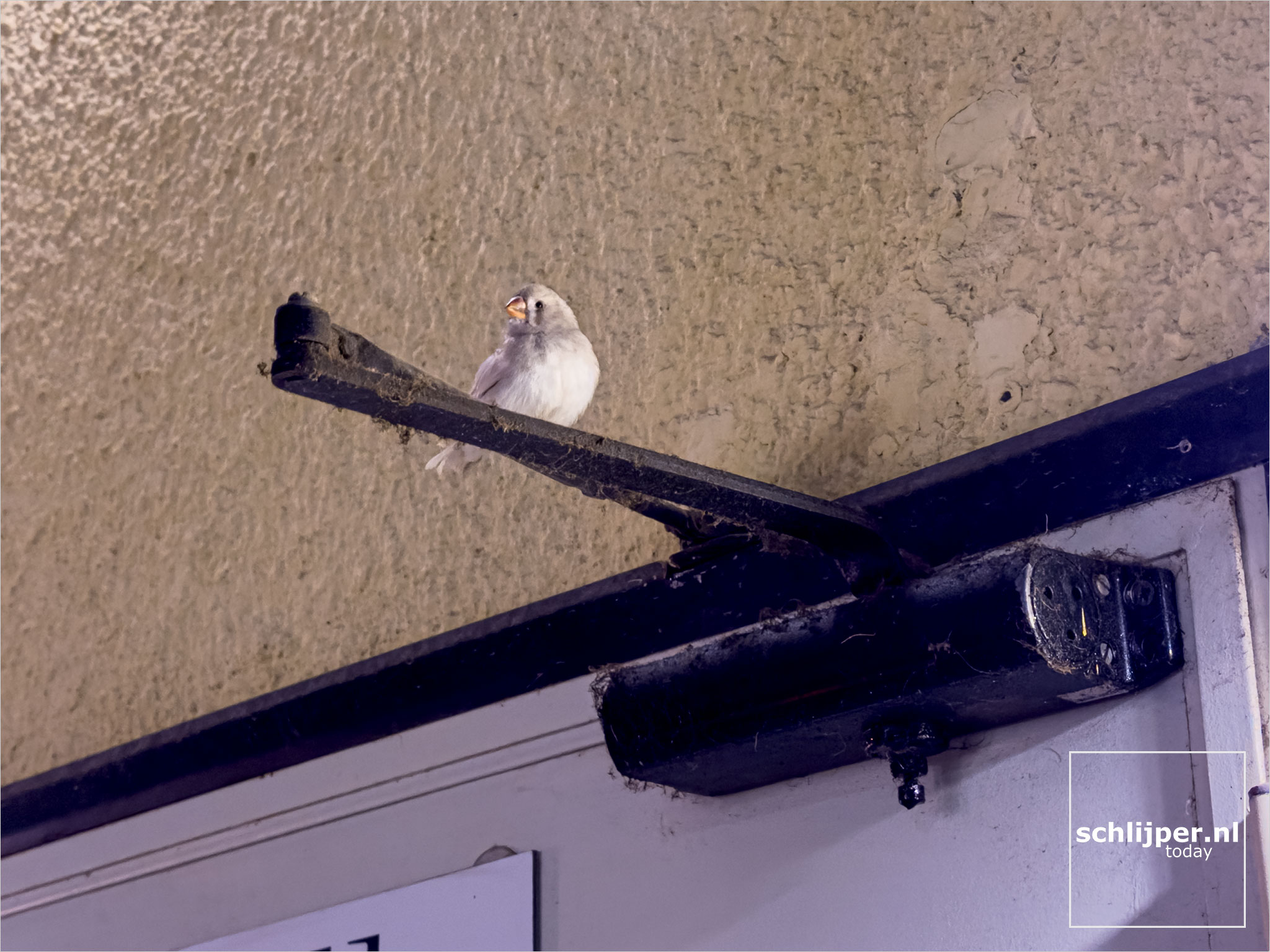 Israel, Tel Aviv, February 15, 2026