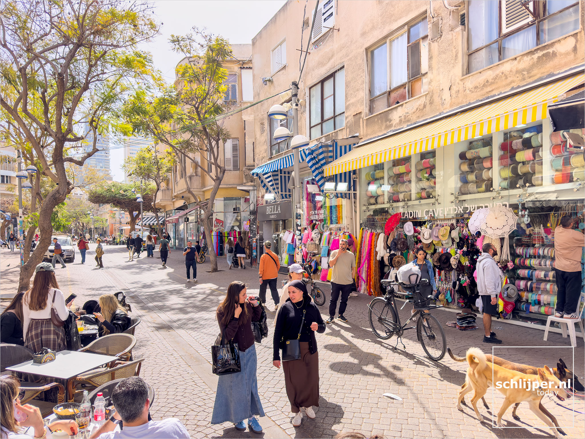 Israel, Tel Aviv, February 18, 2026