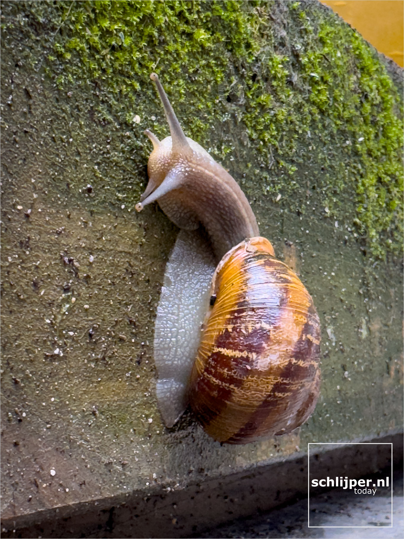 Israel, Tel Aviv, February 24, 2026