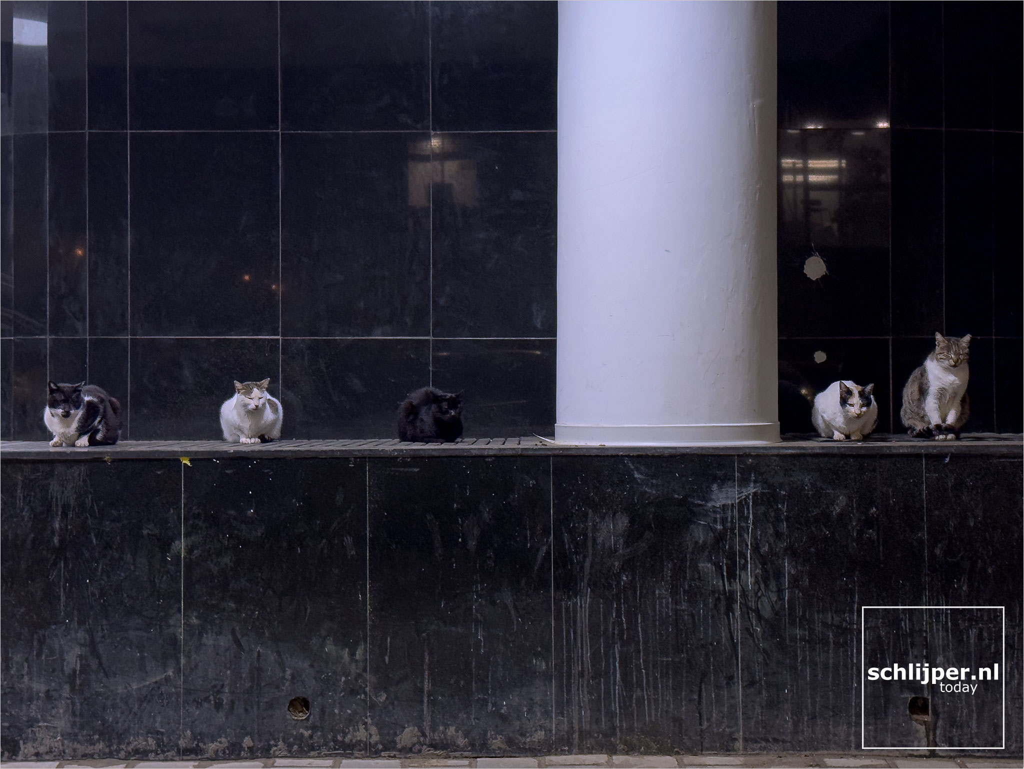 Israel, Tel Aviv, March 23, 2026