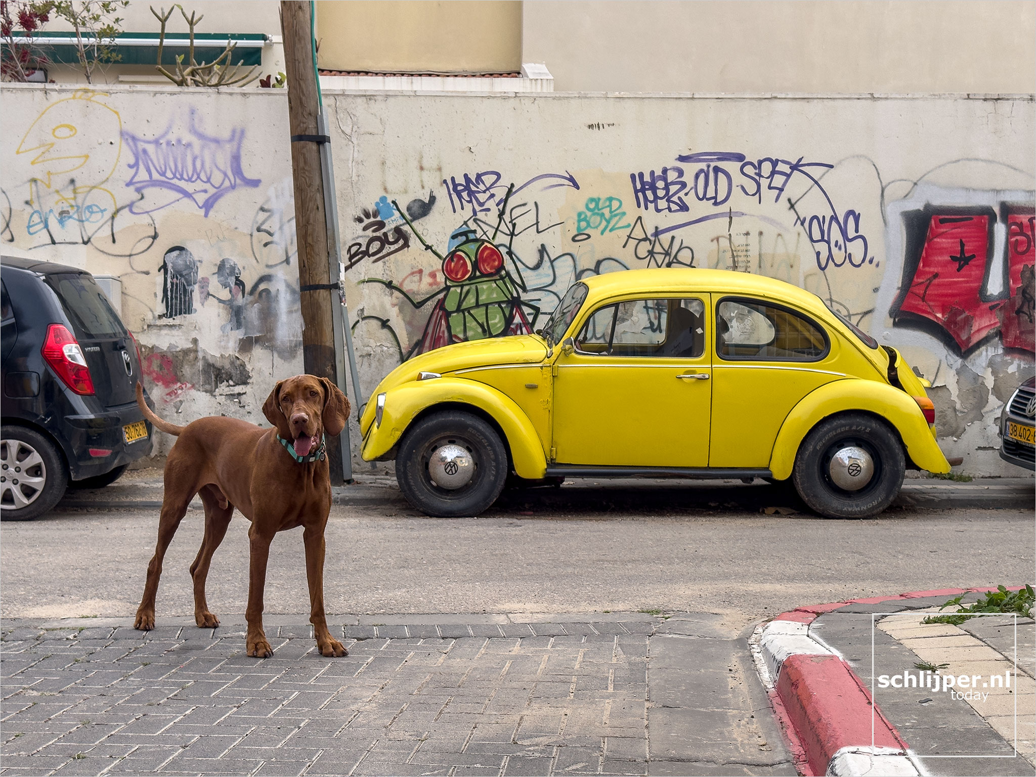 Israel, Tel Aviv, March 28, 2026