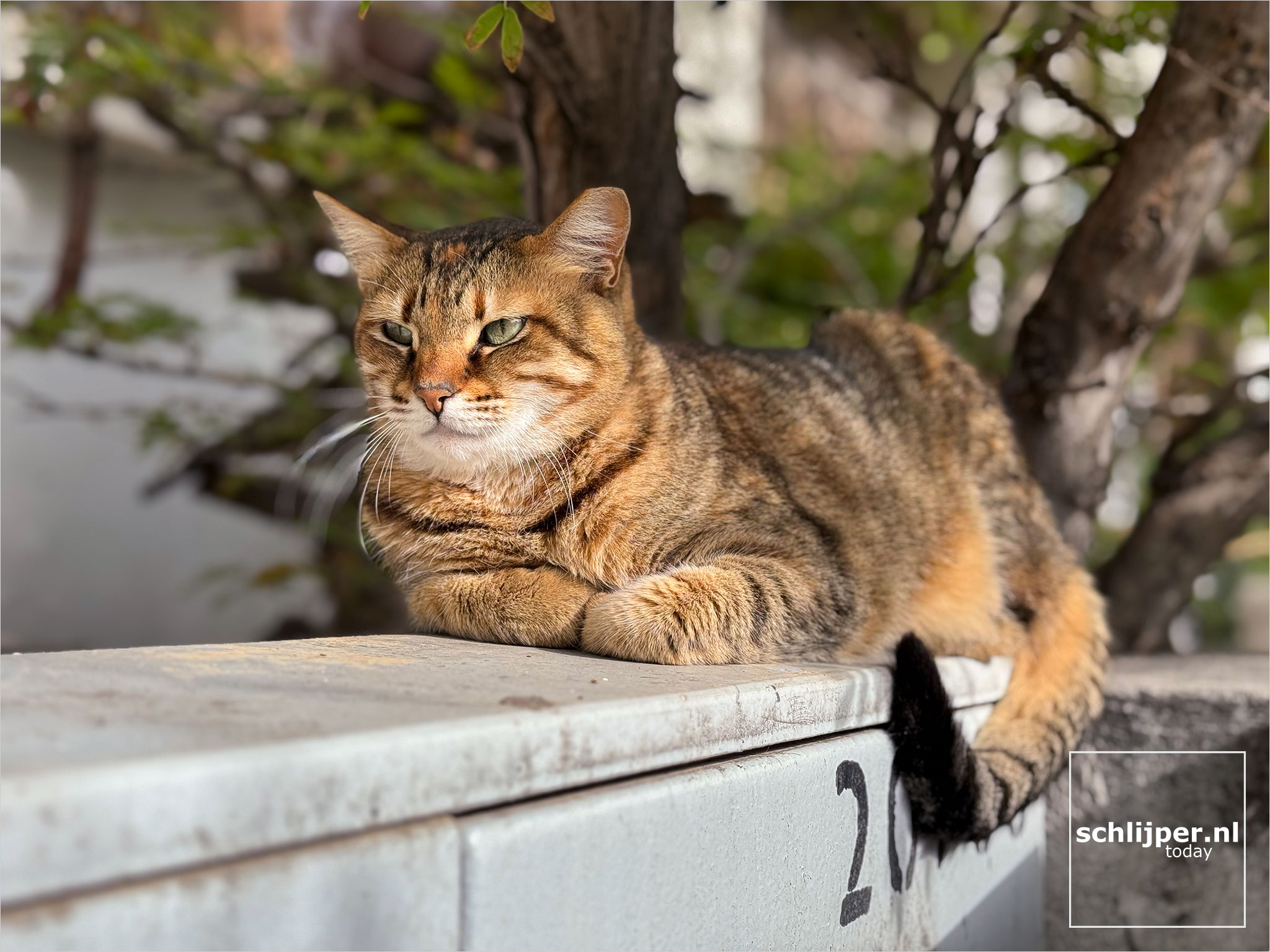 Israel, Tel Aviv, March 28, 2026