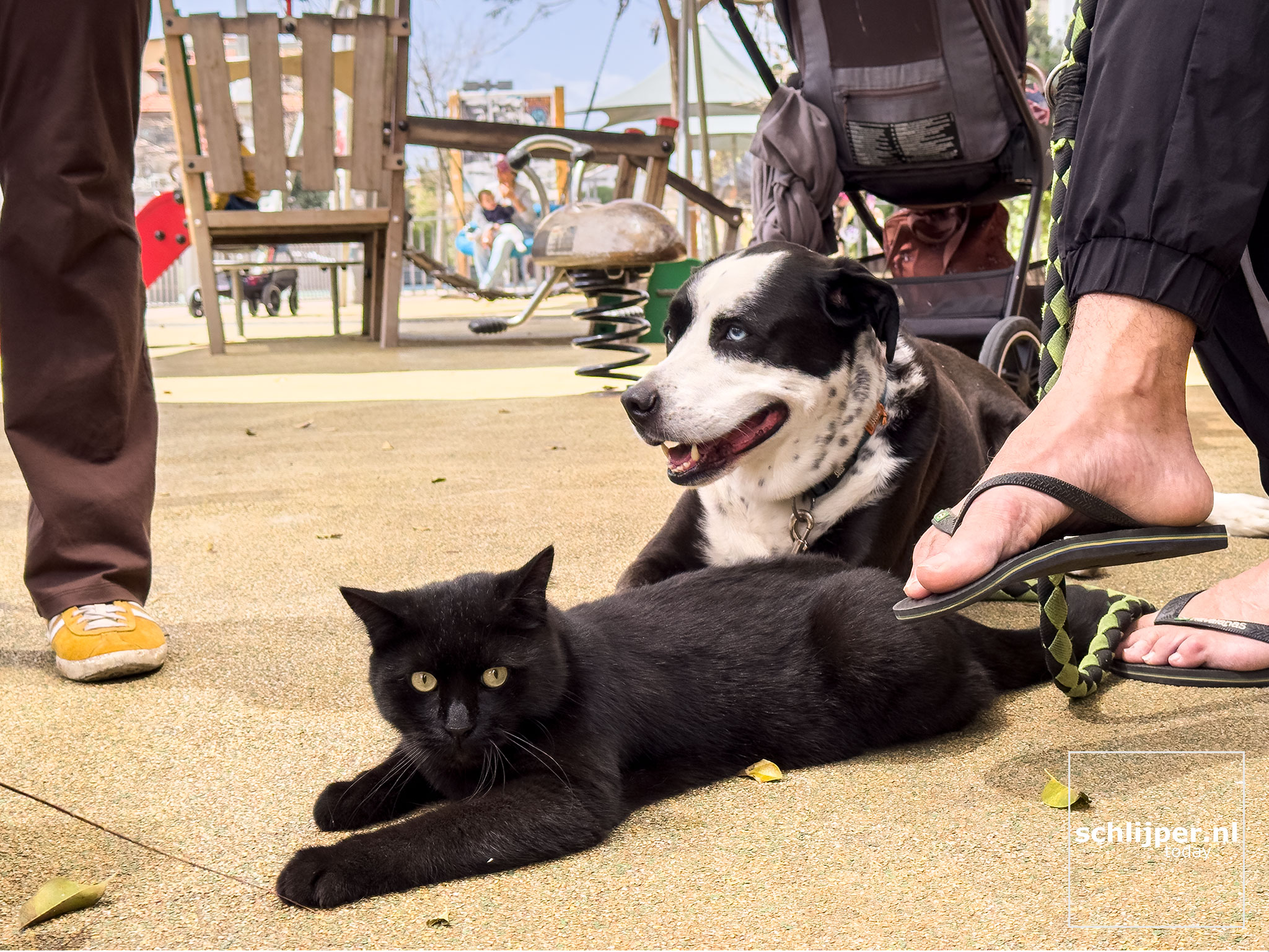 Israel, Tel Aviv, April 5, 2026