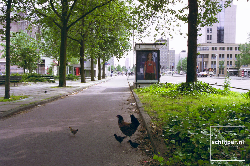 Nederland, Amsterdam, 31 mei 1999