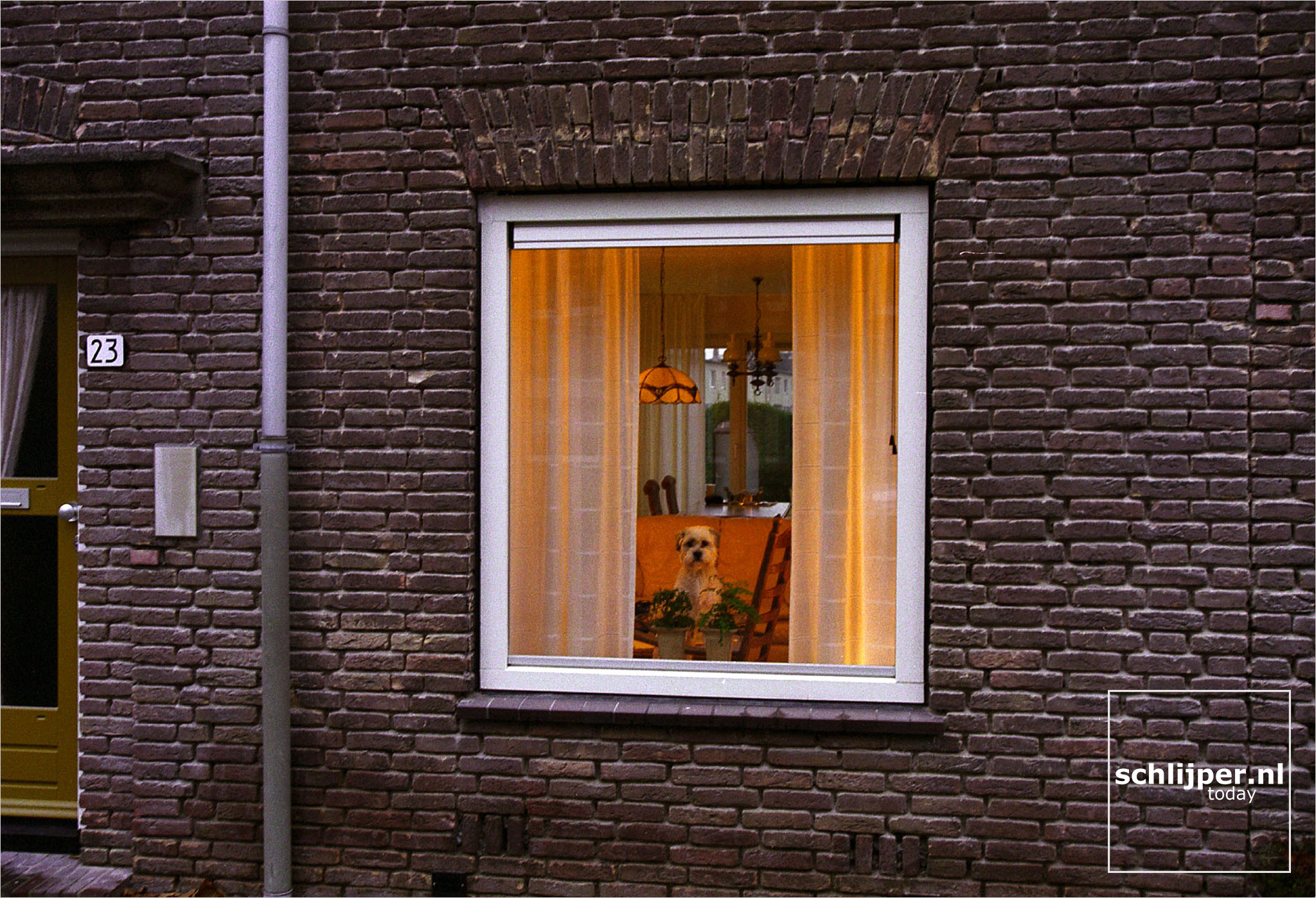 FOTO THOMAS SCHLIJPER