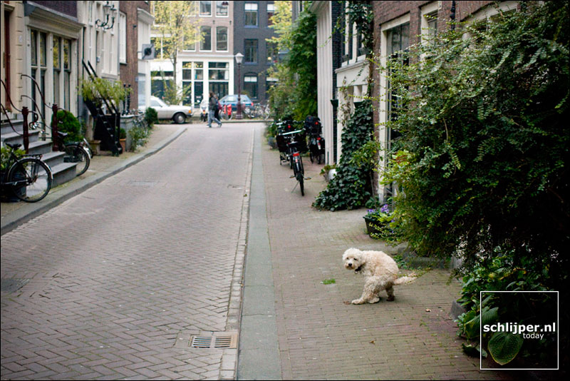 Nederland, Amsterdam, 27 oktober 2007