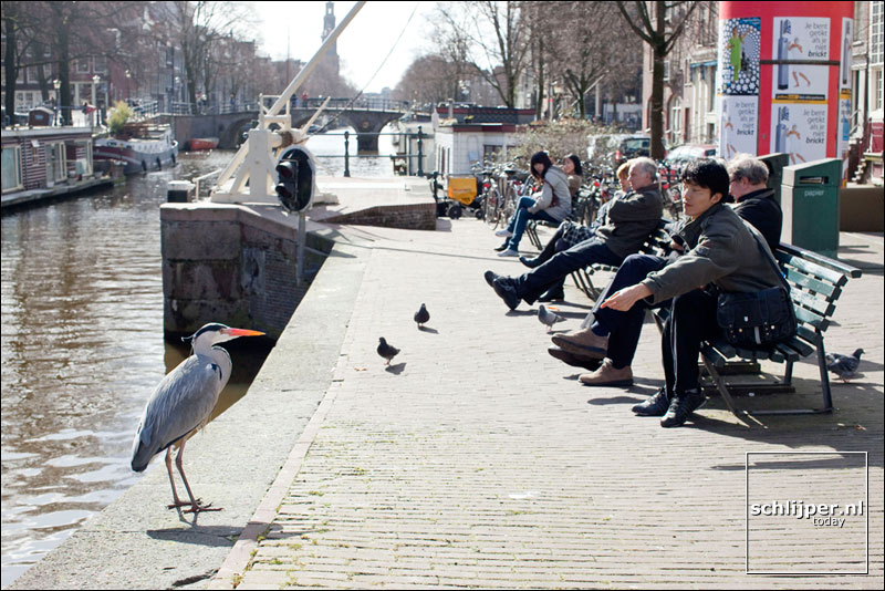 Nederland, Amsterdam, 8 maart 2009