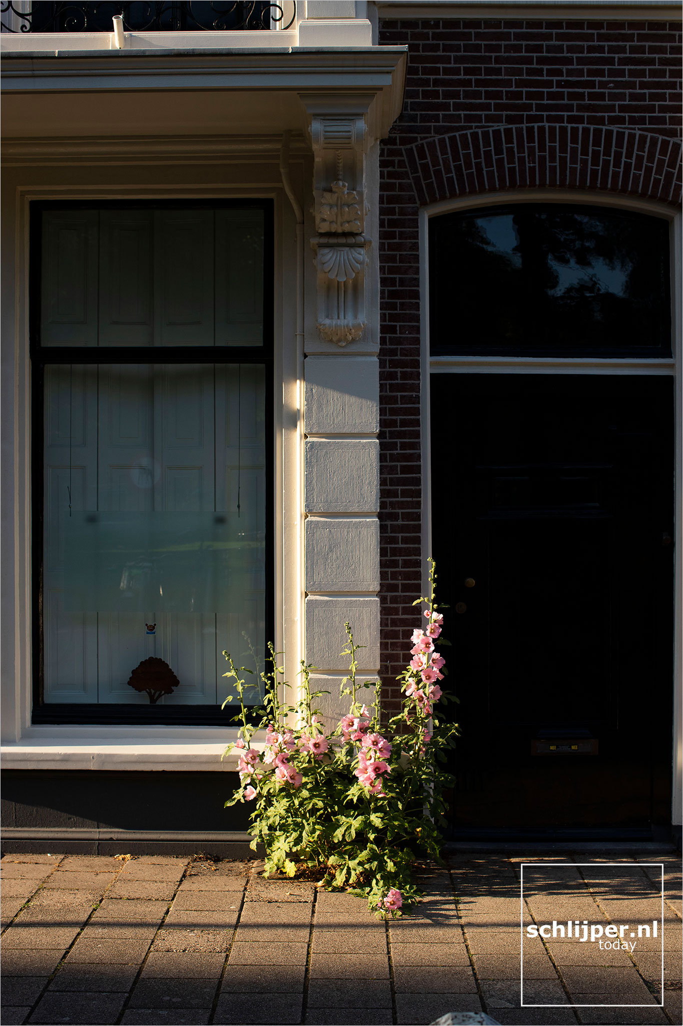 The Netherlands, Haarlem, 2 juli 2021